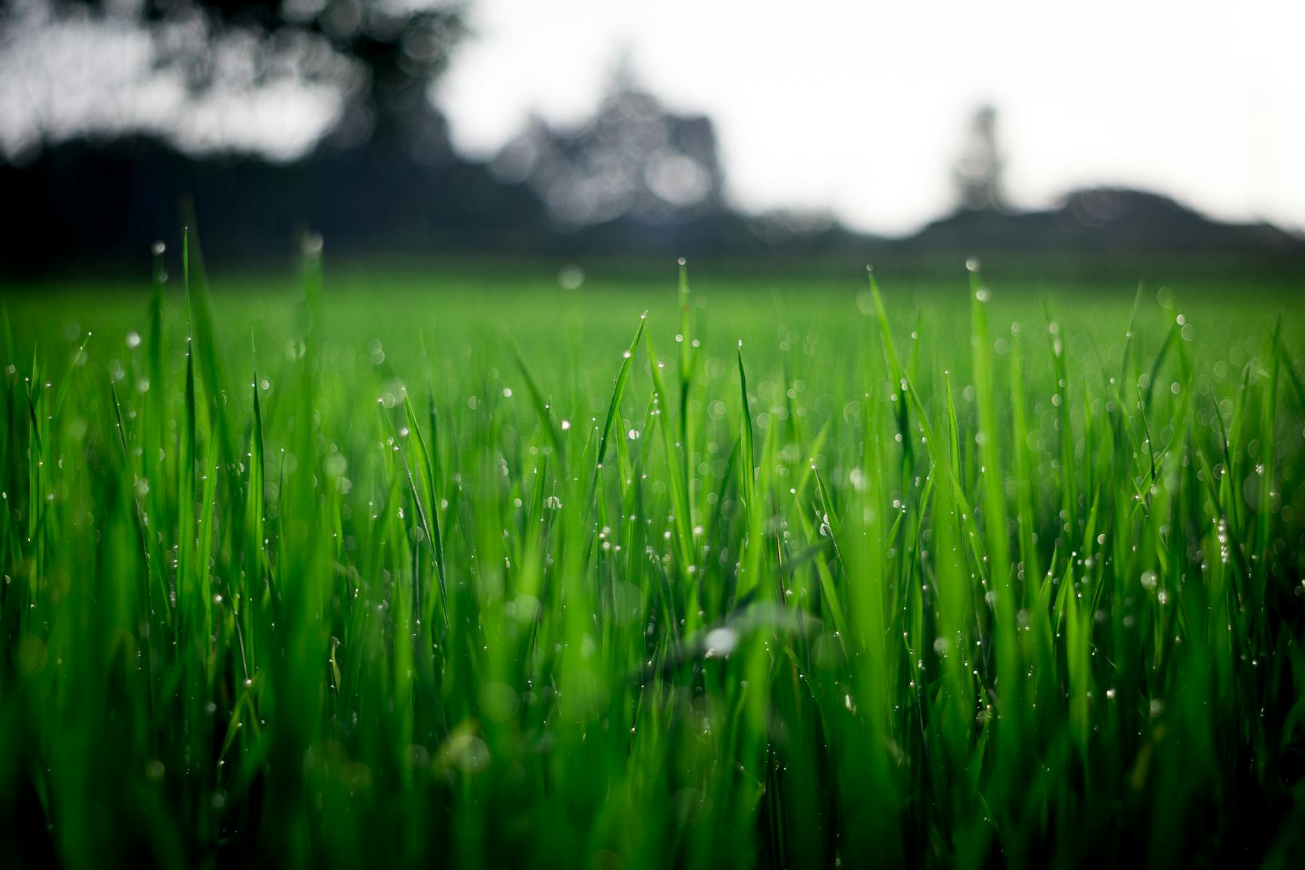 Field Note – Mindset