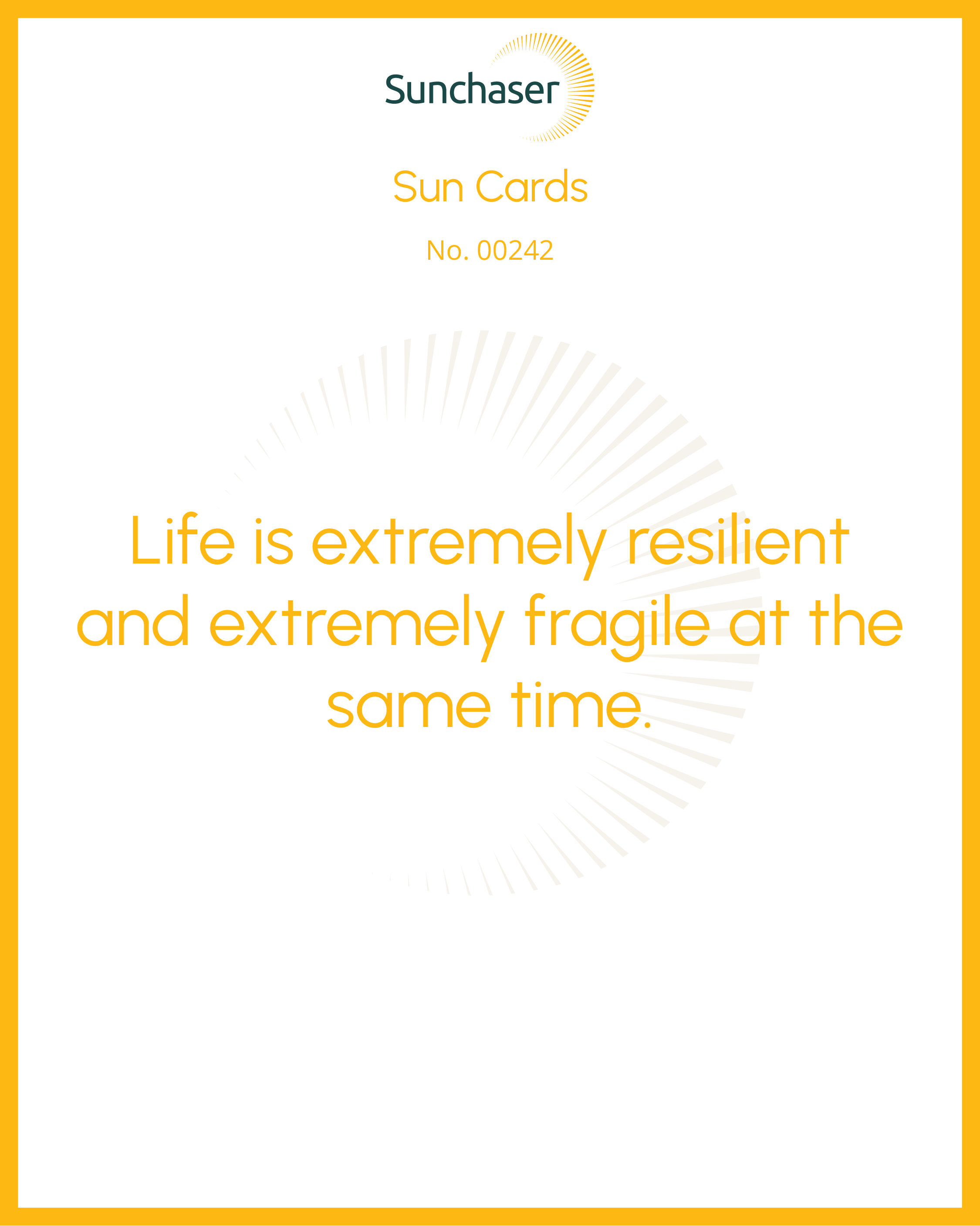 Sun Card #00242